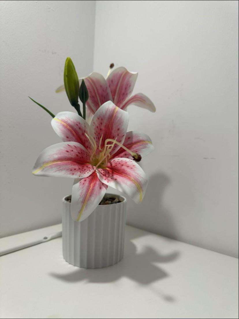 סלוניקי Dimitris Center Apartment מראה חיצוני תמונה
